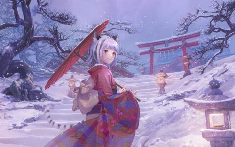 GreenCloud 美国独立日JAX优惠套餐 VPS 评测报告-Yuiの观测站